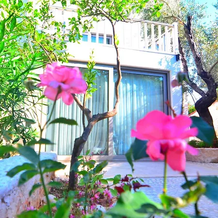 Likya Ege Kalkan Villa